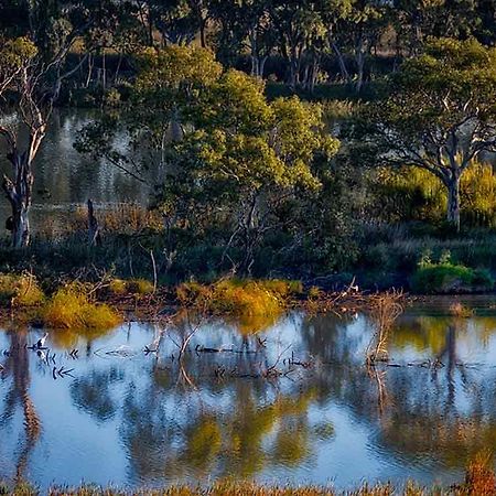 Riverview Rise Retreats Mannum Extérieur photo