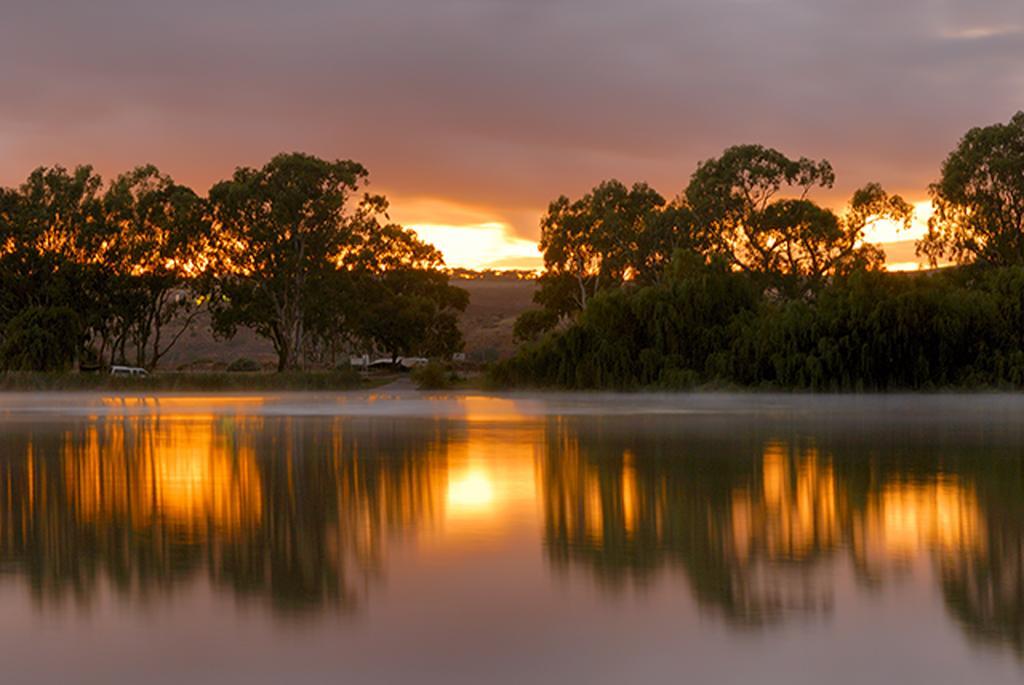 Riverview Rise Retreats Mannum Extérieur photo