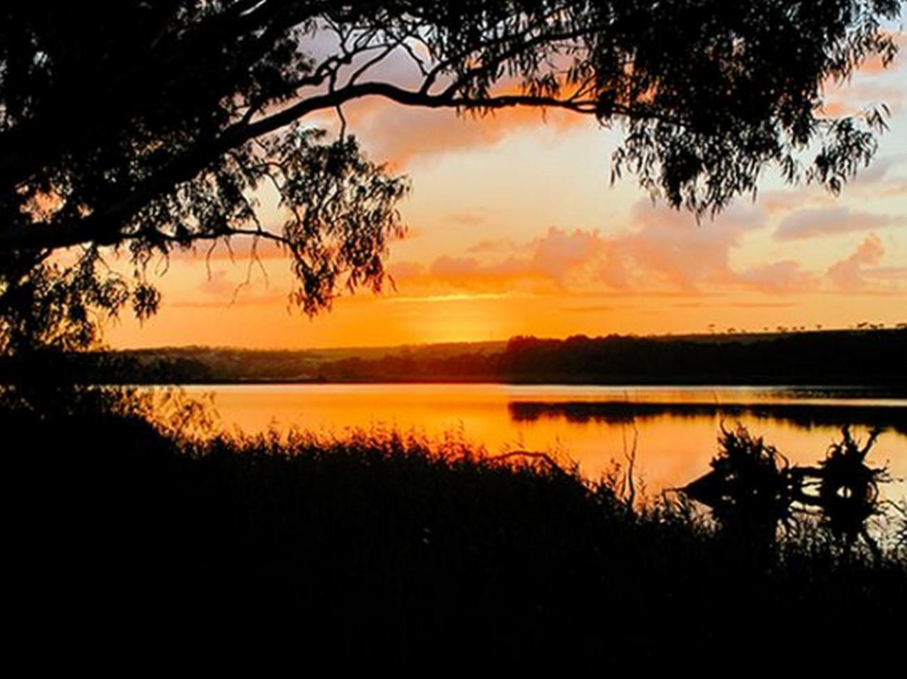 Riverview Rise Retreats Mannum Extérieur photo