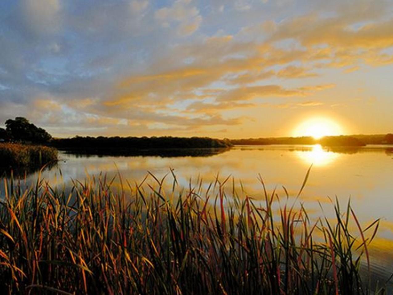 Riverview Rise Retreats Mannum Extérieur photo