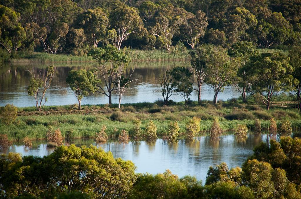 Riverview Rise Retreats Mannum Extérieur photo