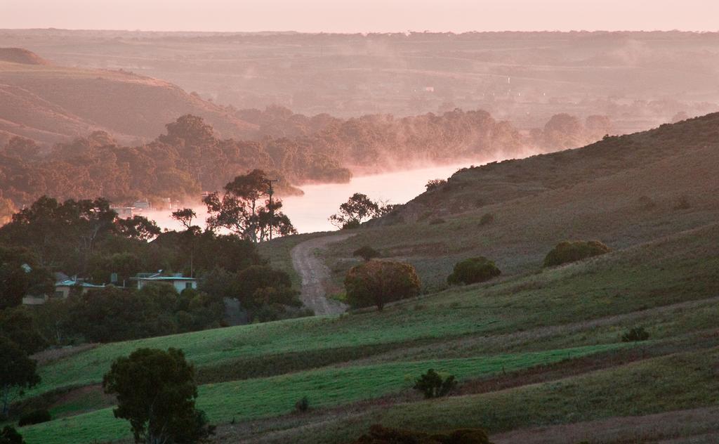 Riverview Rise Retreats Mannum Extérieur photo