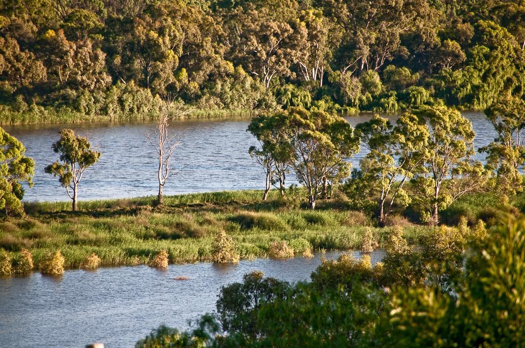 Riverview Rise Retreats Mannum Extérieur photo