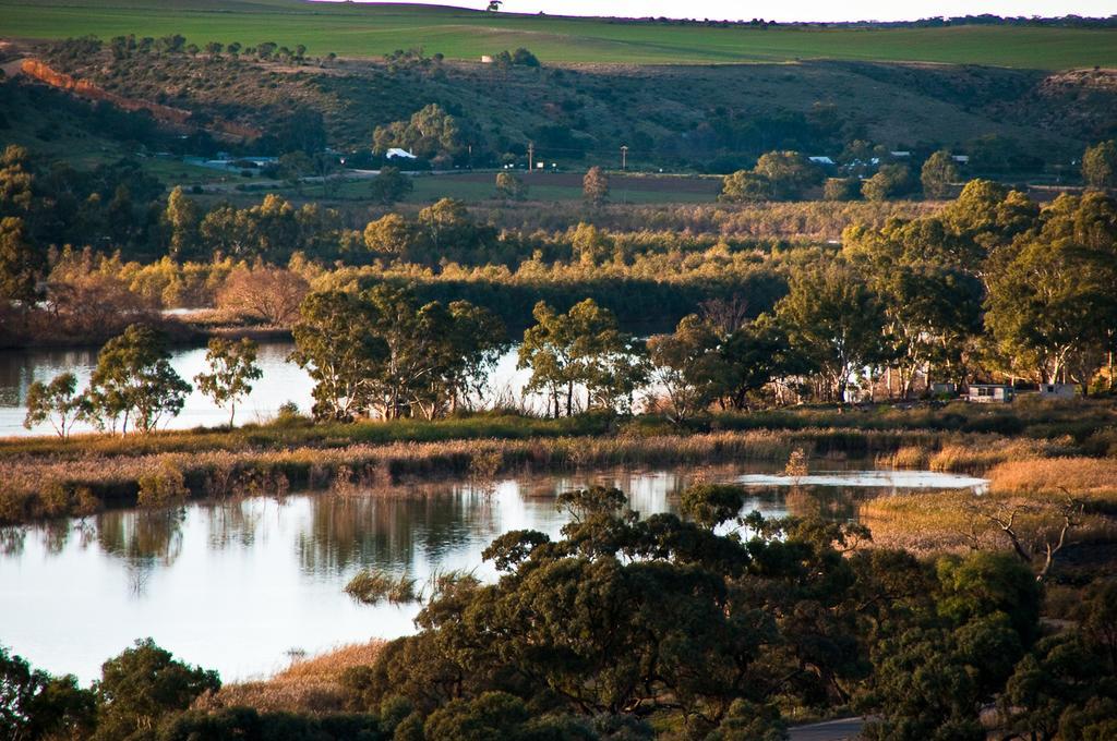 Riverview Rise Retreats Mannum Extérieur photo