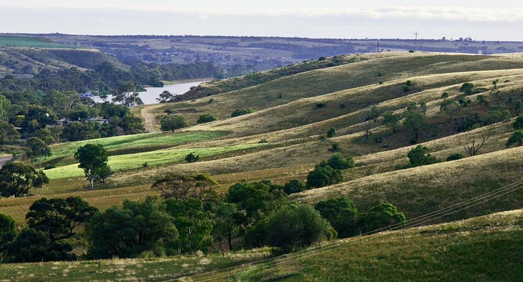 Riverview Rise Retreats Mannum Extérieur photo
