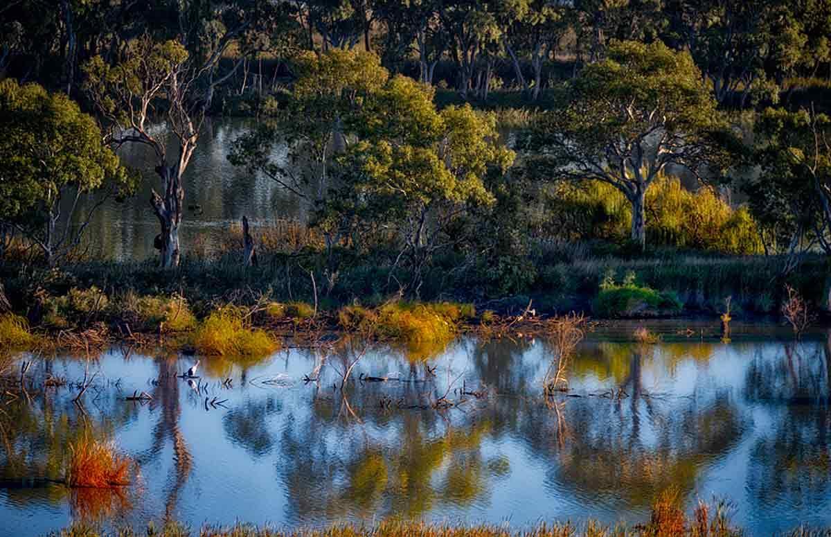 Riverview Rise Retreats Mannum Extérieur photo