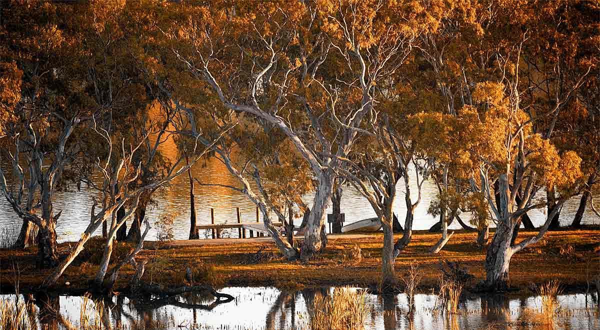 Riverview Rise Retreats Mannum Extérieur photo