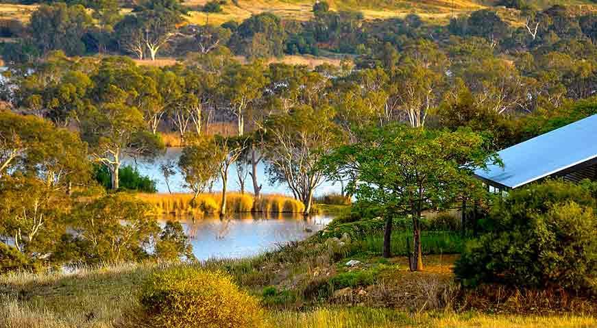 Riverview Rise Retreats Mannum Extérieur photo