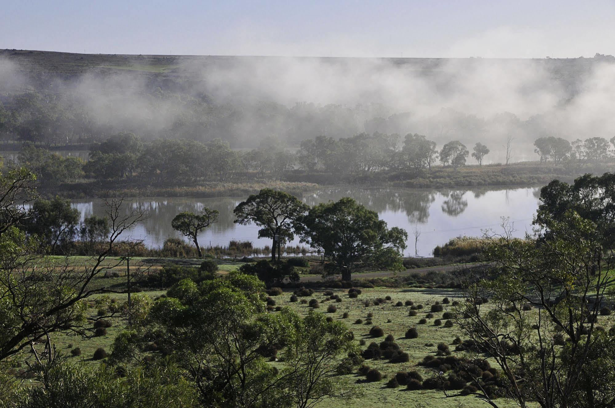 Riverview Rise Retreats Mannum Extérieur photo