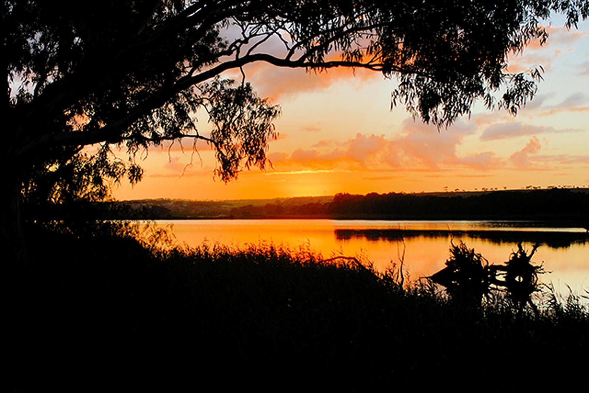 Riverview Rise Retreats Mannum Extérieur photo